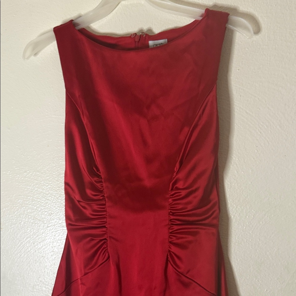 Cache Strapless Red Ruched Sheath Dress - Picture 4 of 13